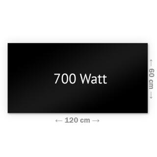 Heizprinz Infrarotheizung Glas schwarz 700 Watt mit Rahmen 60 x 120 cm