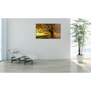 Heizprinz Infrarotheizung Glasbild entspiegelt 900 Watt rahmenlos 60  x 140 cm